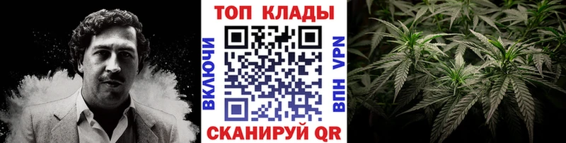  КОКАИН Нолинск