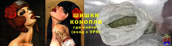стаф Дмитриев