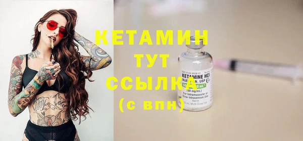 стаф Дмитриев