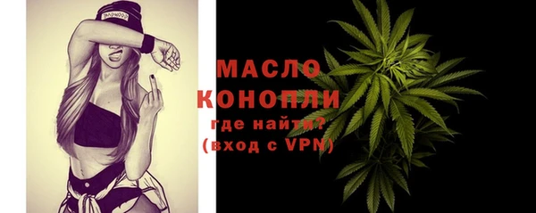 стаф Дмитриев