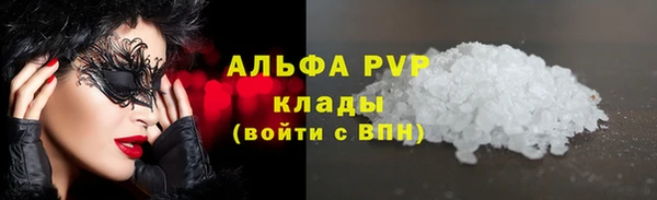 стаф Дмитриев