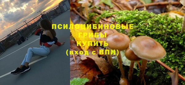меф Дмитров