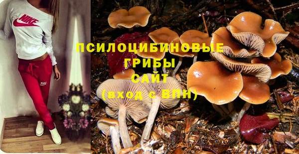меф Дмитров