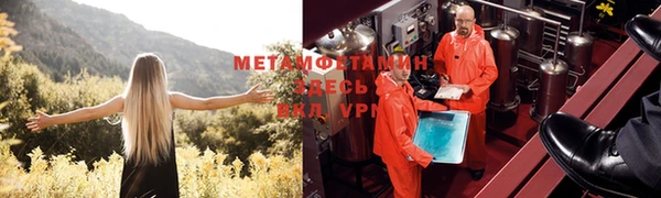 стаф Дмитриев