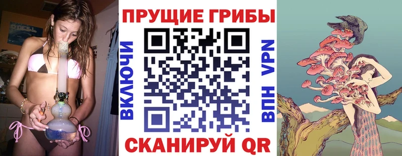 Галлюциногенные грибы мухоморы  Купить закладки  Нолинск 