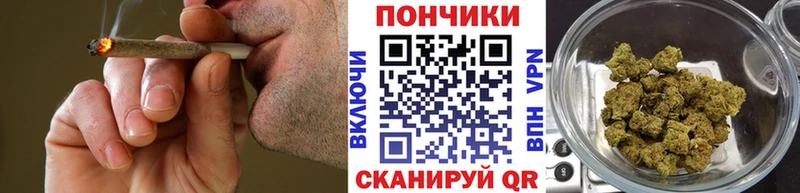 Шишки марихуана марихуана  Купить закладки  Нолинск 